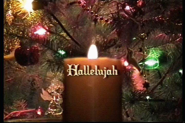 Hallelujah - Allison Crowe - Leonard Cohen
