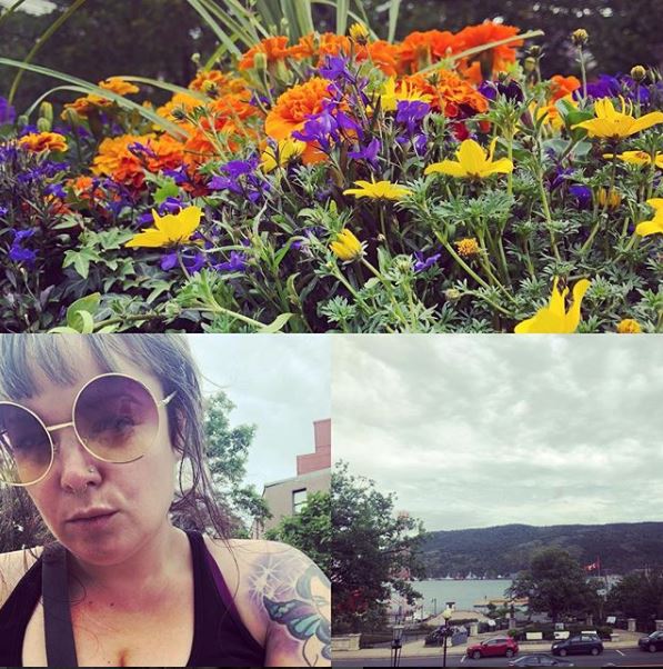 Flowers - Allison Crowe day-off - St. John's, Newfoundland
